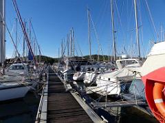 183 ILE DE PORQUEROLLES -1_000021